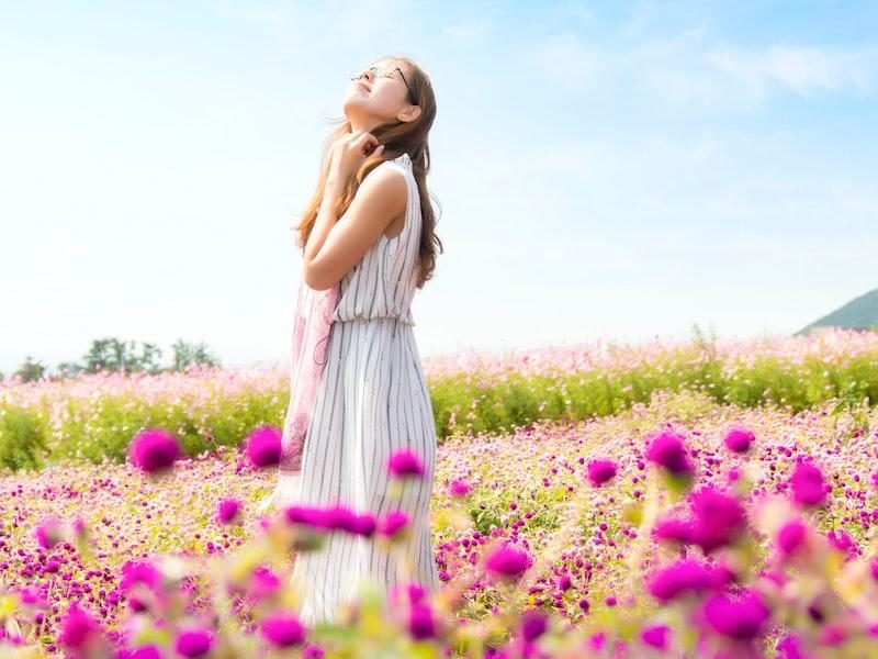 woman wearing white and gray striped sleeveless dress smelling the air standing in the pink flower field at daytime